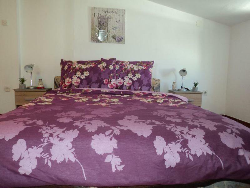 Studio Apartments Ana Ровинь Экстерьер фото