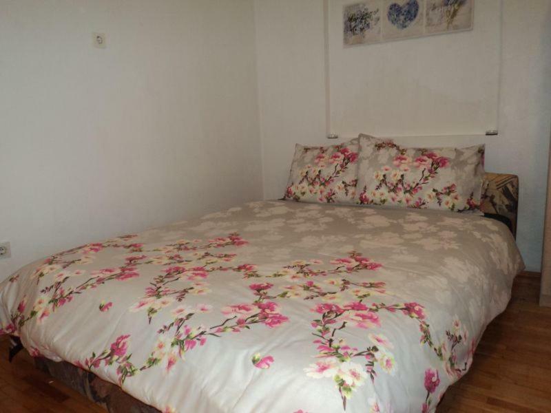 Studio Apartments Ana Ровинь Экстерьер фото